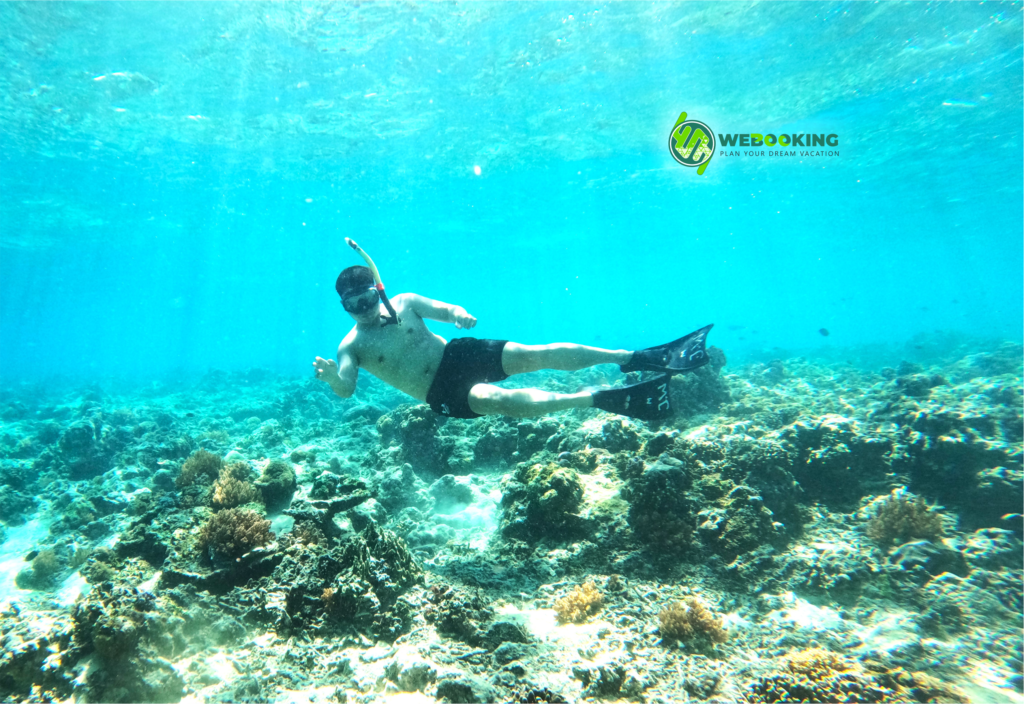 Bg_Img_webookingtrip_snorkeling