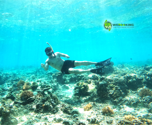 Bg_Img_webookingtrip_snorkeling