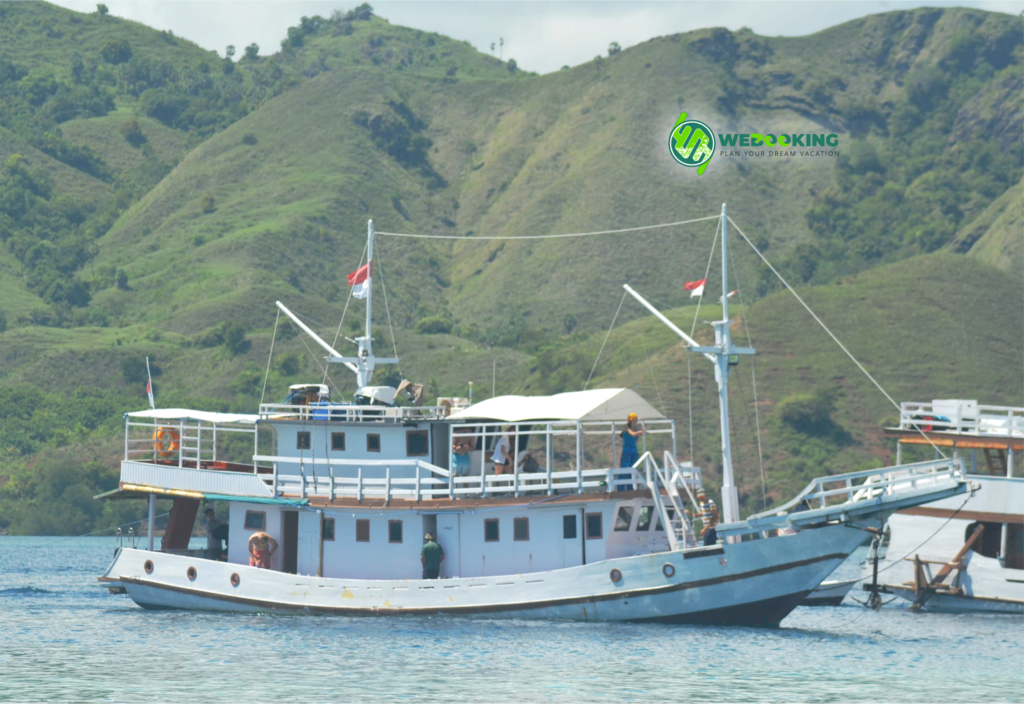 Bg_Img_webookingtrip_komodo3